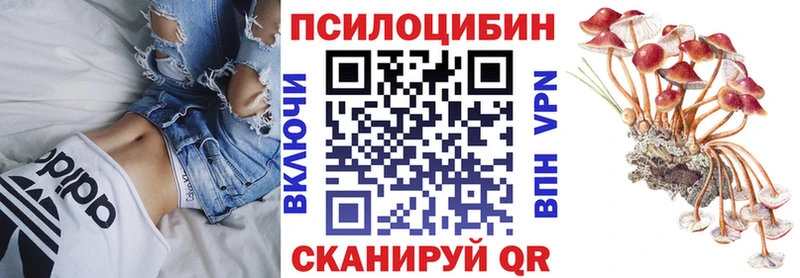 OMG маркетплейс  Любань  Галлюциногенные грибы Magic Shrooms 